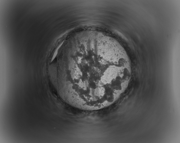 X0000092050775200710031042