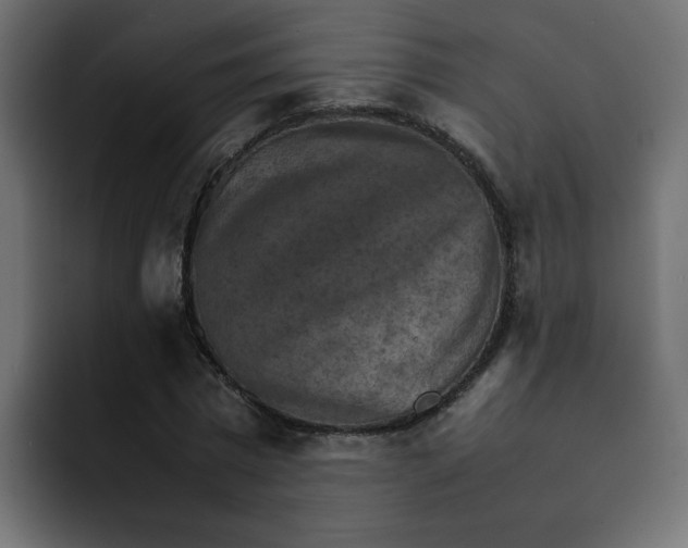 X0000092050777200710031042