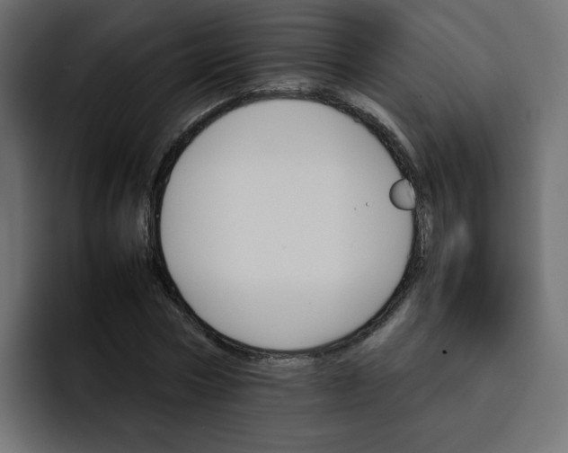 X0000092050778200710031042