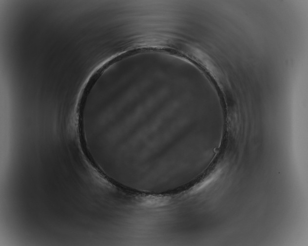 X0000092050779200710031042