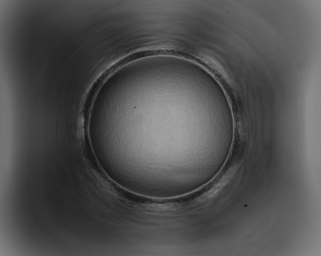 X0000092050781200710031042