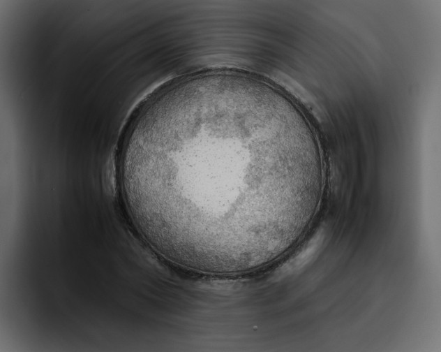 X0000092050782200710031042