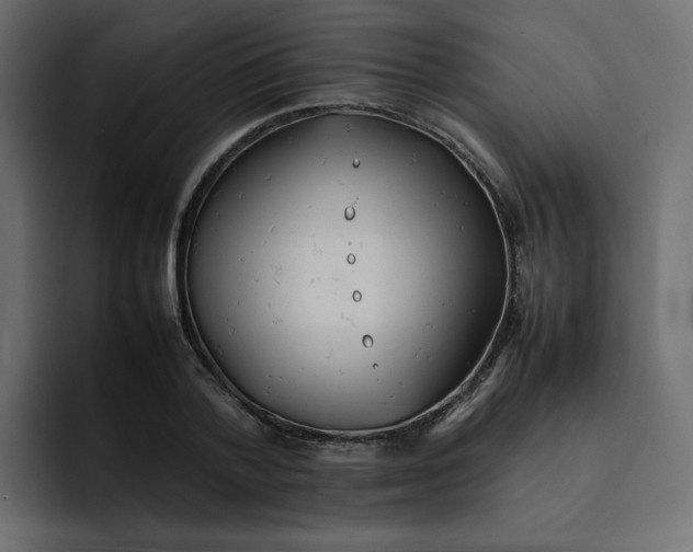 X0000092050788200710031042