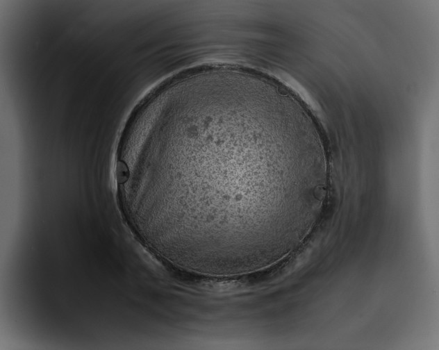 X0000092050791200710031041