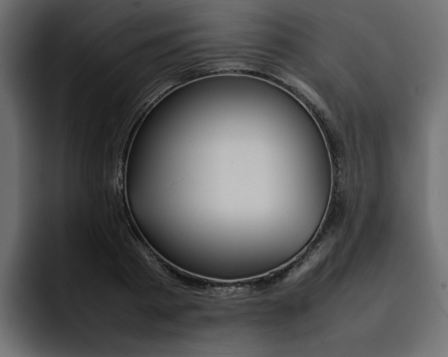 X0000092050793200710031041