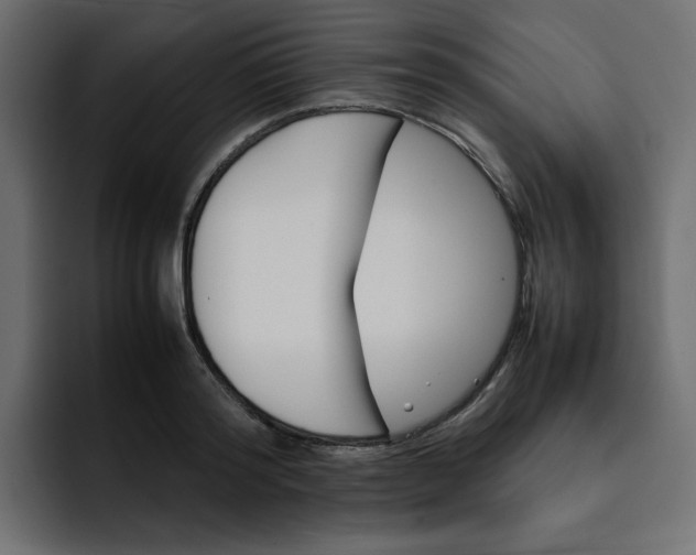 X0000092050796200710031041