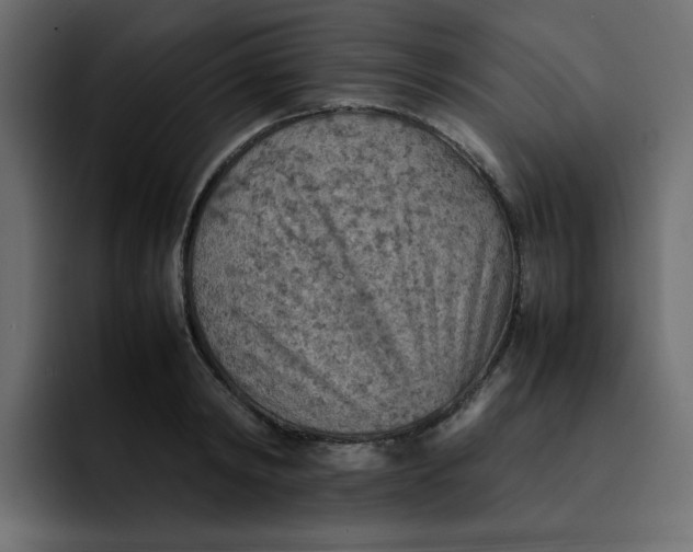 X0000092050798200710031041