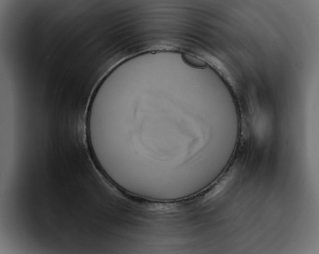 X0000092050802200710031041