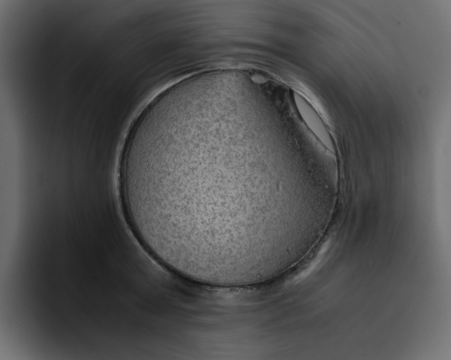 X0000092050803200710031041