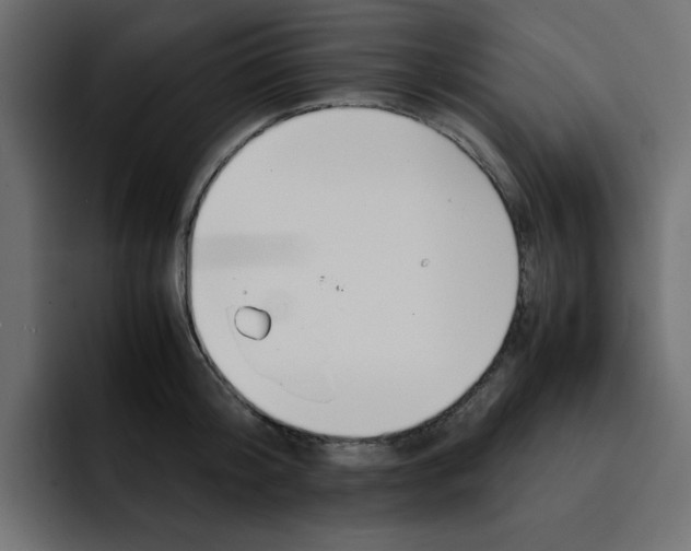 X0000092050804200710031041