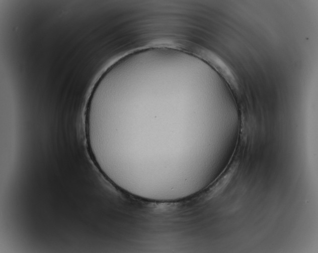 X0000092050808200710031041