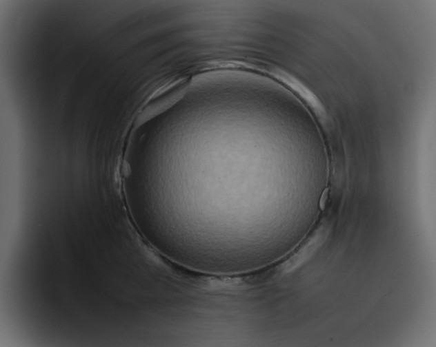 X0000092050809200710031041