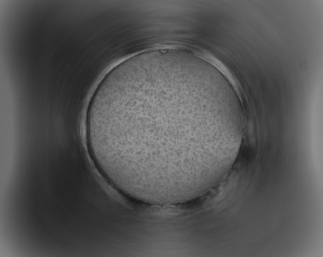 X0000092050811200710031041