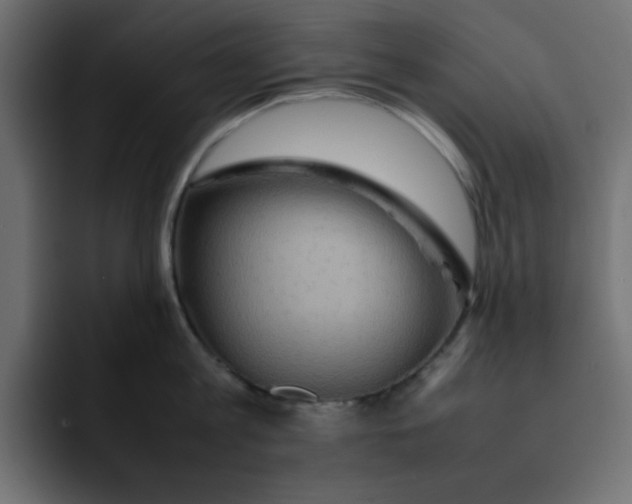 X0000092050813200710031041