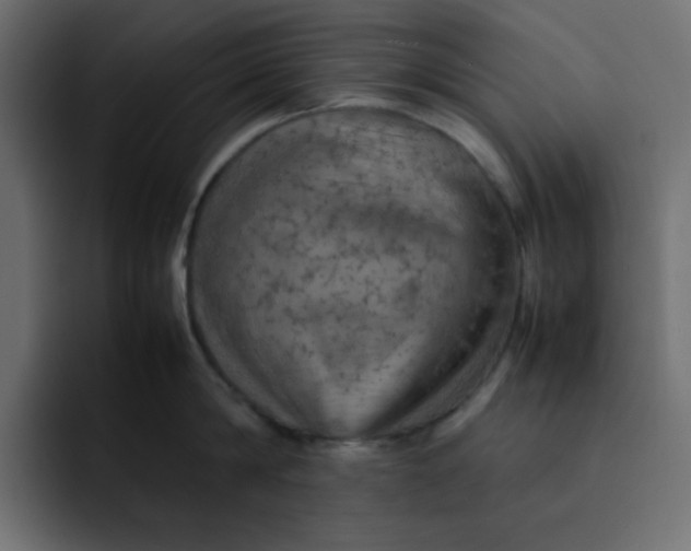 X0000092050814200710031041