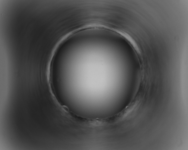 X0000092050815200710031041