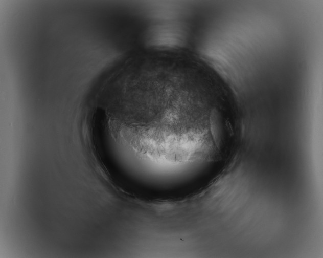 X0000092050817200710031041