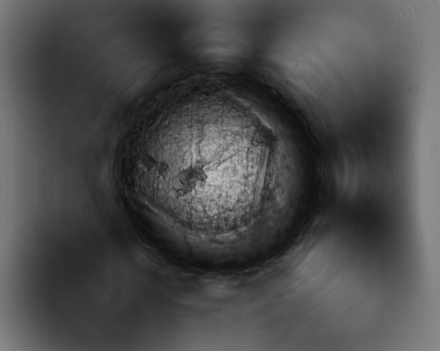 X0000092050818200710031041