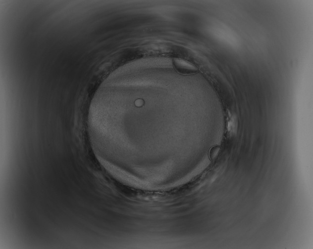 X0000092050819200710031041