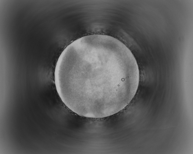 X0000092050820200710031041