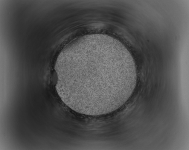 X0000092050821200710031041