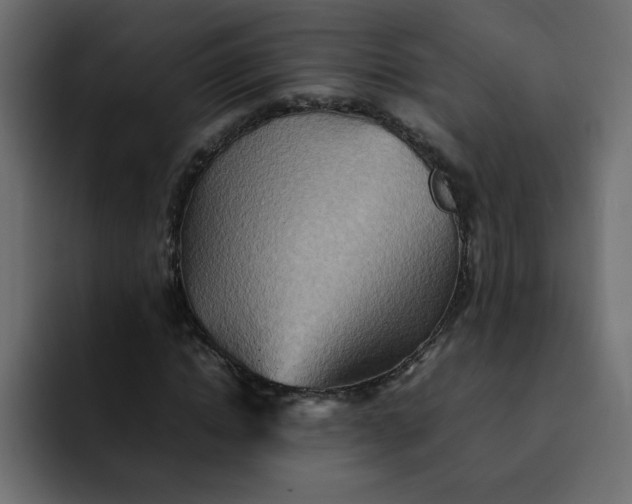 X0000092050822200710031041