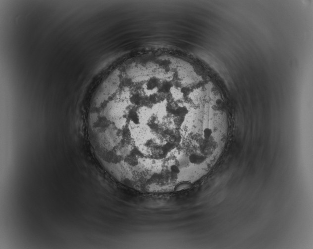 X0000092050823200710031041