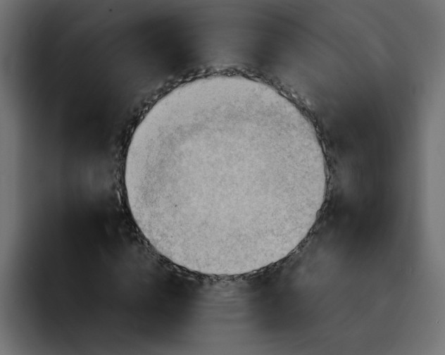 X0000092050824200710031041