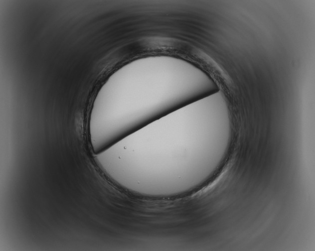 X0000092050825200710031041