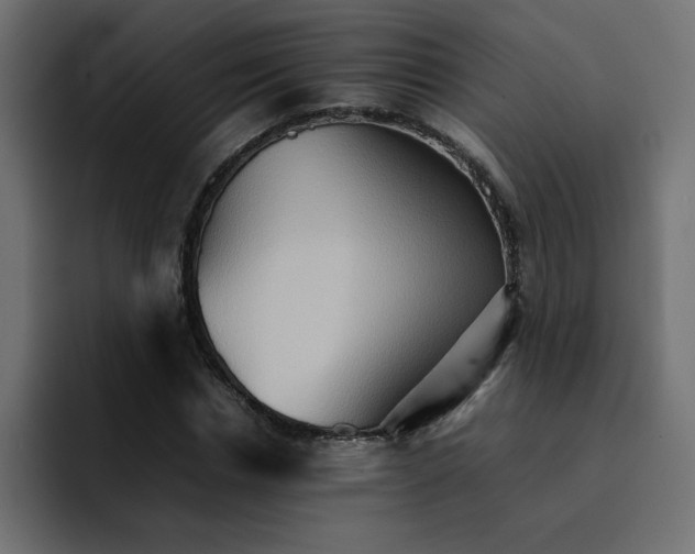 X0000092050826200710031041