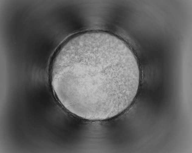 X0000092050828200710031041