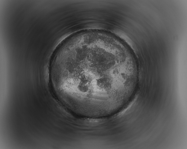 X0000092050829200710031041