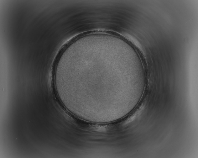 X0000092050831200710031041