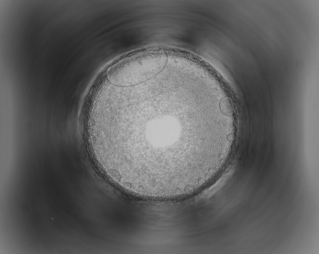 X0000092050832200710031041