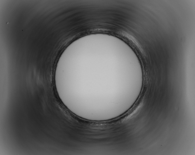 X0000092050833200710031041