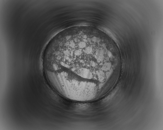 X0000092050835200710031041