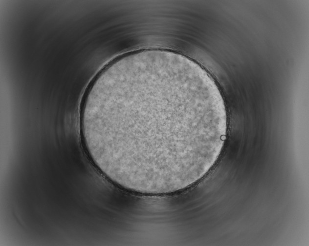 X0000092050836200710031041