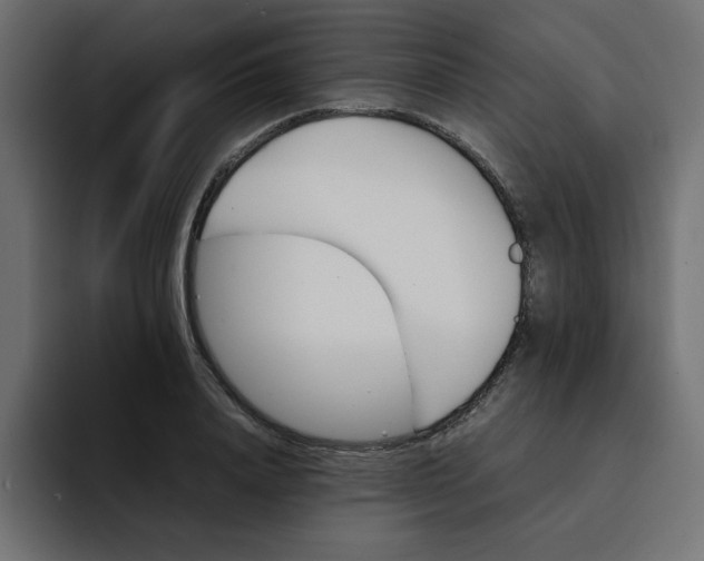 X0000092050840200710031041