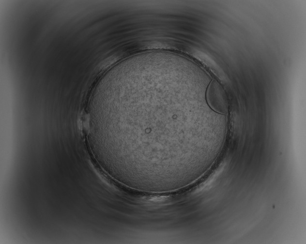 X0000092050841200710031041