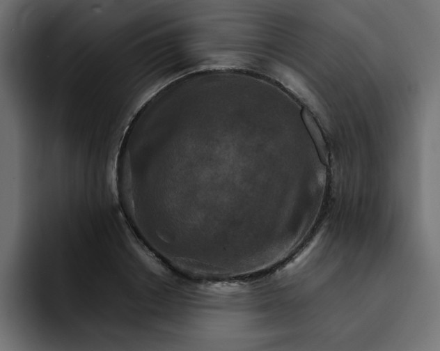 X0000092050842200710031041