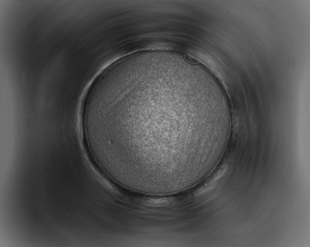 X0000092050843200710031041