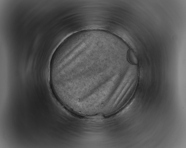 X0000092050844200710031041