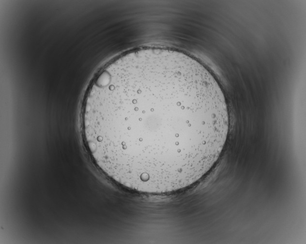 X0000092050848200710031041