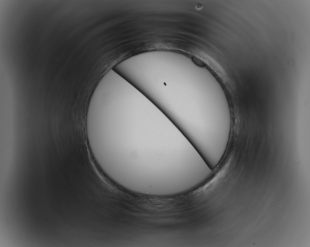 X0000092050849200710031041