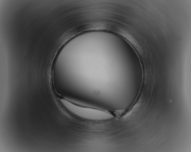 X0000092050850200710031041