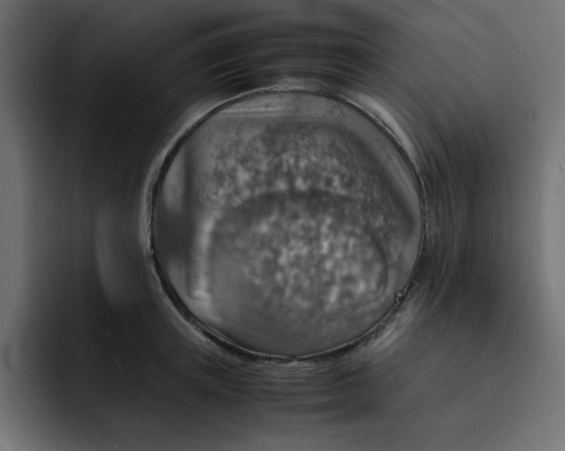 X0000092050851200710031041