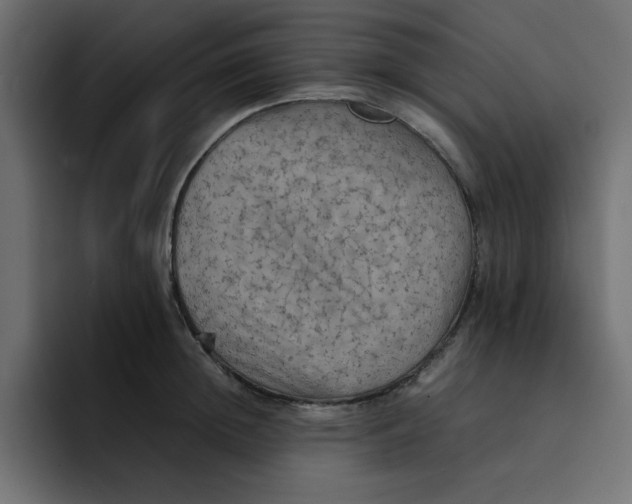 X0000092050852200710031041