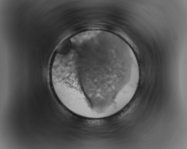 X0000092050853200710031041