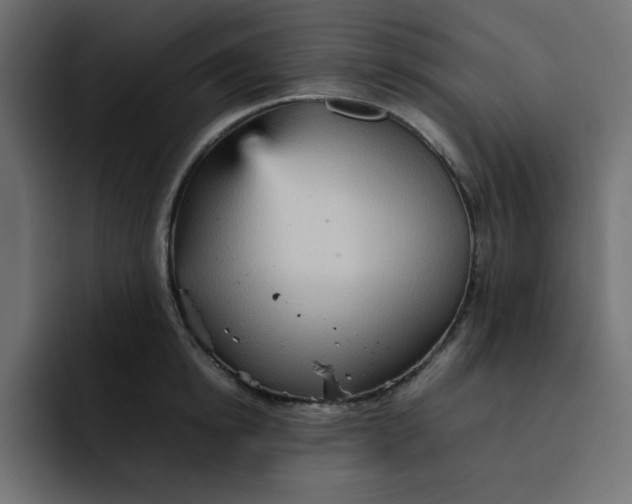 X0000092050854200710031041