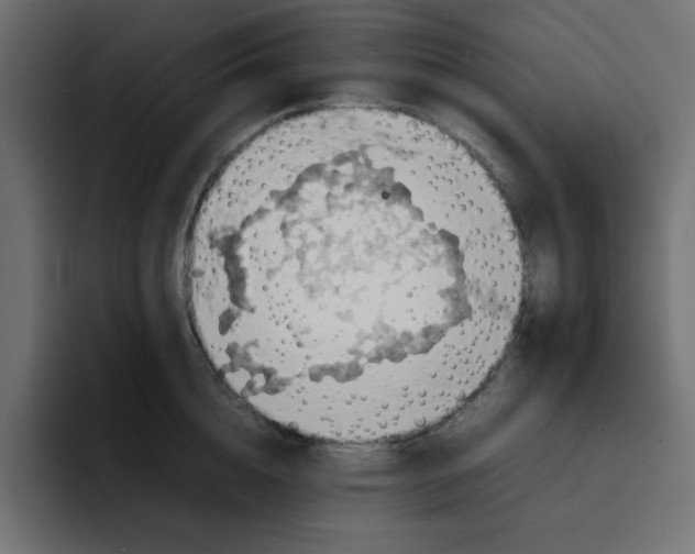 X0000092050856200710031041